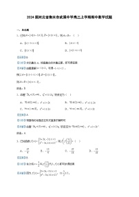 2024届河北省衡水市武强中学高三上学期期中数学试题含答案
