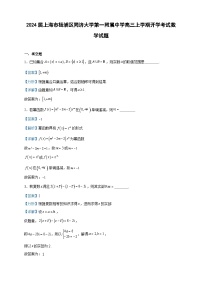 2024届上海市杨浦区同济大学第一附属中学高三上学期开学考试数学试题含答案