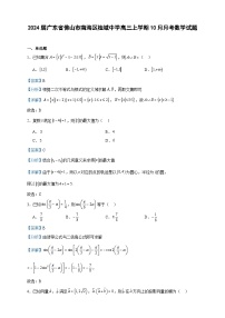 2024届广东省佛山市南海区桂城中学高三上学期10月月考数学试题含答案
