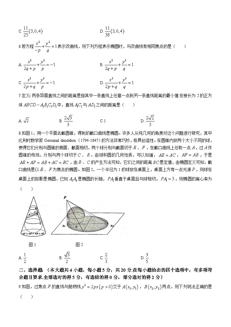 2024宁波金兰教育合作组织高二上学期期中联考数学试题含答案02