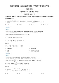 安徽省合肥市六校联盟2023-2024学年高三数学上学期期中联考试题（Word版附解析）