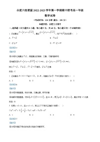 安徽省合肥市六校联盟2022-2023学年高一数学上学期期中联考试题（Word版附解析）