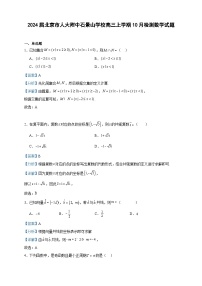 2024届北京市人大附中石景山学校高三上学期10月检测数学试题含答案