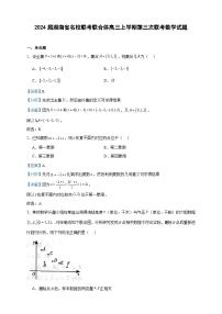 2024届湖南省名校联考联合体高三上学期第三次联考数学试题含答案