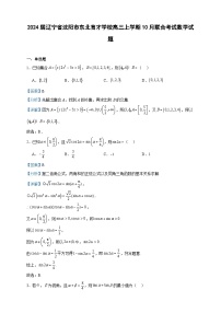 2024届辽宁省沈阳市东北育才学校高三上学期10月联合考试数学试题含答案
