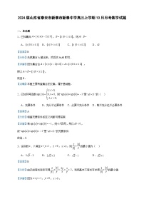 2024届山东省泰安市新泰市新泰中学高三上学期10月月考数学试题含解析