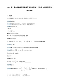 2024届上海市东华大学附属奉贤致远中学高三上学期10月教学评估数学试题含解析