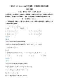 山东省青岛市第十七中学2023-2024学年高一上学期期中数学试题（解析版）