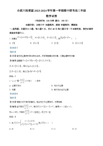 2024合肥六校联盟高三上学期期中联考数学试题含解析