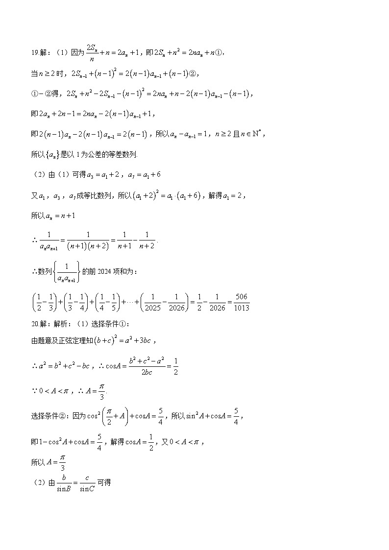 2024南阳高三上学期期中考试数学含答案03