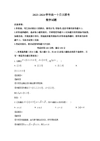 山东省泰安市肥城市第一中学2024届高一上学期10月月考数学试题（Word版附解析）