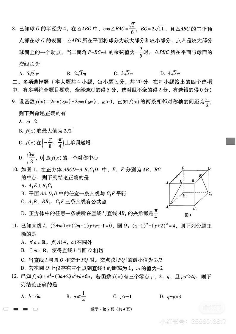师大附中第四次月考第2页