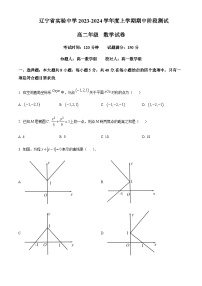 2023-2024学年辽宁省沈阳市辽宁省实验中学高二上学期11月期中数学试题含答案