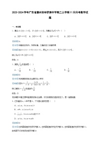 2023-2024学年广东省惠州市华罗庚中学高二上学期11月月考数学试题含答案