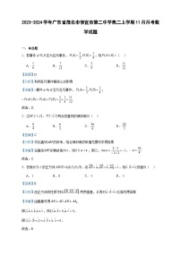 2023-2024学年广东省茂名市信宜市第二中学高二上学期11月月考数学试题含答案