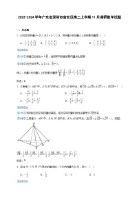 2023-2024学年广东省深圳市宝安区高二上学期11月调研数学试题含答案