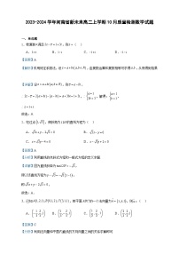 2023-2024学年河南省新未来高二上学期10月质量检测数学试题含答案