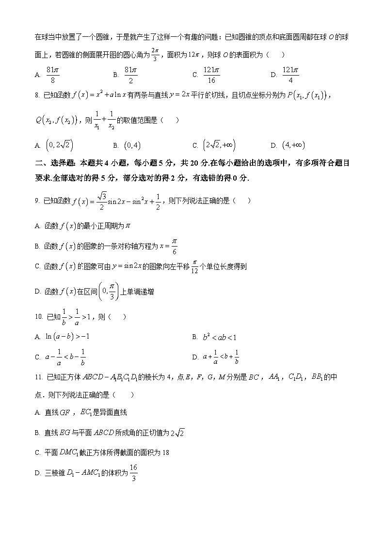 2024沧州三县联考高三上学期11月月考试题数学含解析第2页