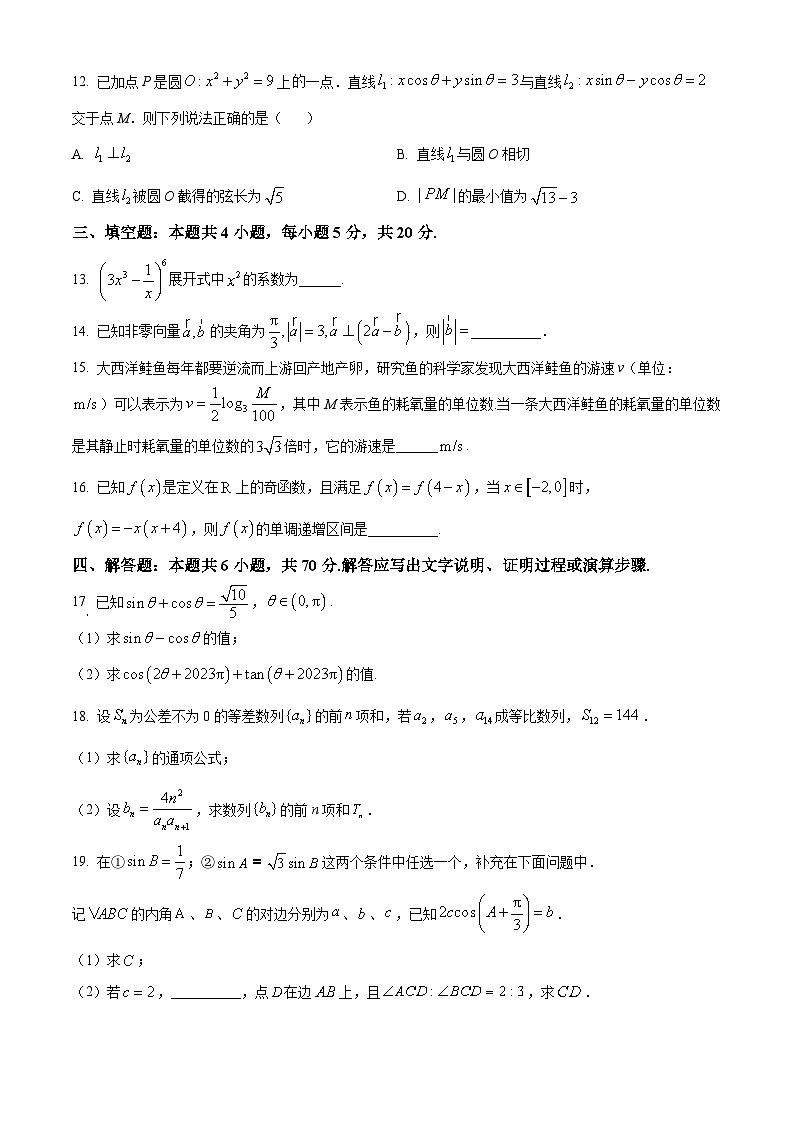 2024沧州三县联考高三上学期11月月考试题数学含解析第3页