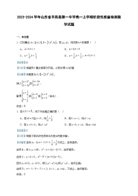 2023-2024学年山东省平邑县第一中学高一上学期阶段性质量检测数学试题含答案