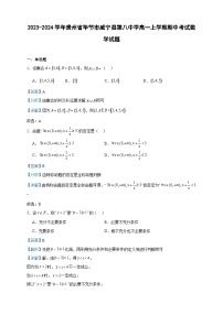 2023-2024学年贵州省毕节市威宁县第八中学高一上学期期中考试数学试题含答案