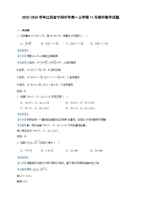 2023-2024学年江西省宁冈中学高一上学期11月期中数学试题含答案