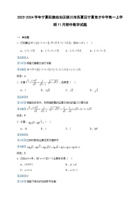 2023-2024学年宁夏回族自治区银川市西夏区宁夏育才中学高一上学期11月期中数学试题含答案