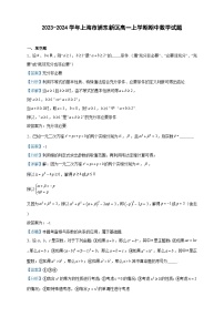 2023-2024学年上海市浦东新区高一上学期期中数学试题含答案