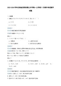 2023-2024学年云南省昆明市第三中学高一上学期11月期中考试数学试题含答案