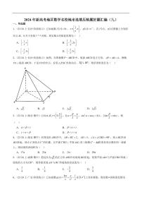 2024年新高考地区数学名校地市选填压轴题好题汇编（九）