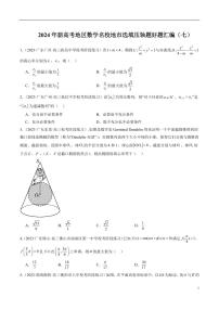 2024年新高考地区数学名校地市选填压轴题好题汇编（七）