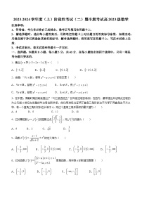 四川省成都市成华区某校2023-2024学年高一上学期期中考试数学试题