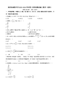 陕西省咸阳中学2023-2024学年高三上学期第三次阶段测试理科数学试卷