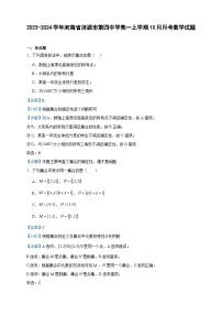 2023-2024学年河南省济源市第四中学高一上学期10月月考数学试题含答案