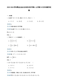 2023-2024学年黑龙江省大庆市东风中学高一上学期10月月考数学试题含答案