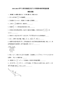2023-2024学年上海市杨浦区高三上学期期中数学质量检测模拟试题（含解析）