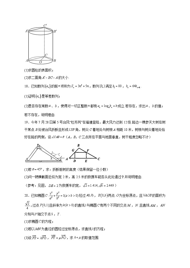 2023-2024学年上海市杨浦区高三上学期期中数学质量检测模拟试题（含解析）03