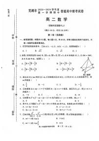 安徽省芜湖市2023-2024高二上学期期中数学试卷及答案