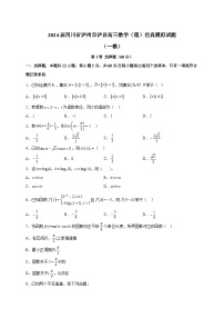 2024届四川省泸州市泸县高三数学（理）仿真模拟试题（一模）含解析