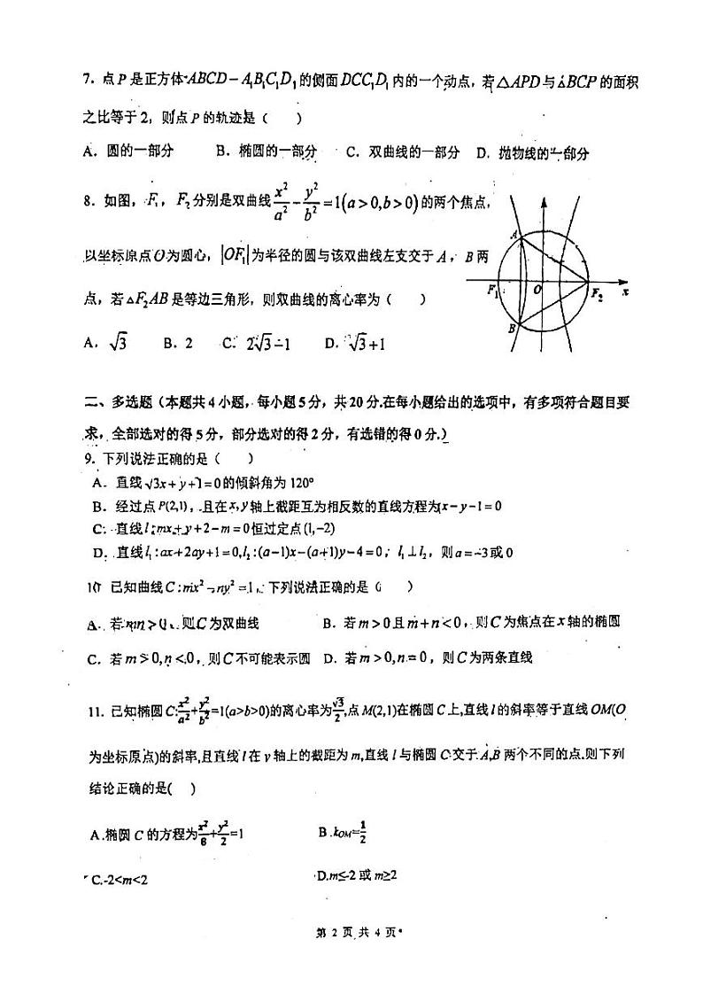 广东省广州市第一一三中学2023-2024学年高二上学期阶段二（期中）考试数学试卷02