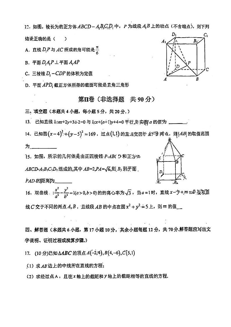 广东省广州市第一一三中学2023-2024学年高二上学期阶段二（期中）考试数学试卷03