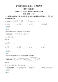 四川省泸州市泸县第四中学2024届高三上学期一诊模拟数学试题（文）试题（Word版附解析）