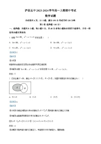 四川省泸州市泸县第五中学2023-2024学年高一上学期期中数学试题（Word版附解析）