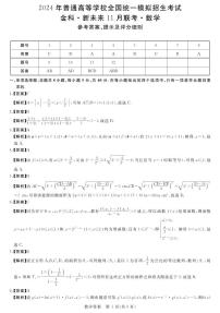 2024河南省新未来联考高三上学期11月月考试题数学PDF版含解析