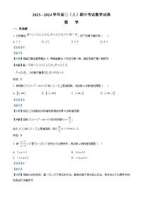 2024厦门湖滨中学高三上学期期中考试数学含解析