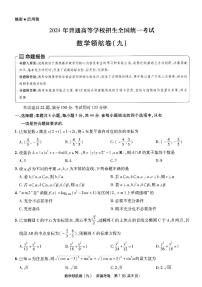 天星2024新高考领航数学模拟卷第九套扫描版（含答案）