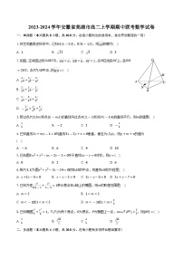 2023-2024学年安徽省芜湖市高二上学期期中联考数学试卷(含解析 )