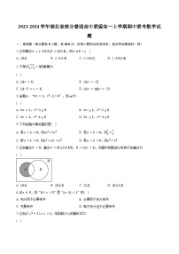 2023-2024学年湖北省部分普通高中联盟高一上学期期中联考数学试题（含解析）