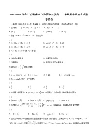 2023-2024学年江苏省南京市协同体九校高一上学期期中联合考试数学试卷（含解析）