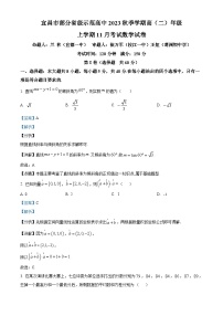 2024宜昌部分省级示范高中高二上学期11月月考数学试卷含解析